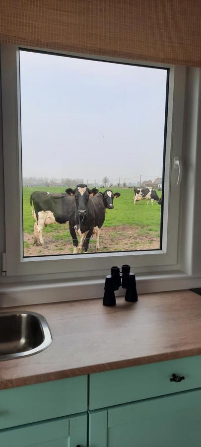 Villa La Vache Au Lit Damme Esterno foto