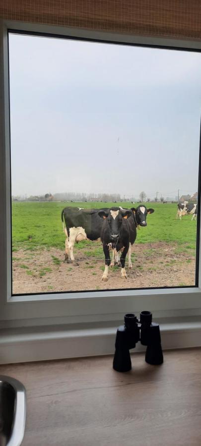 Villa La Vache Au Lit Damme Esterno foto