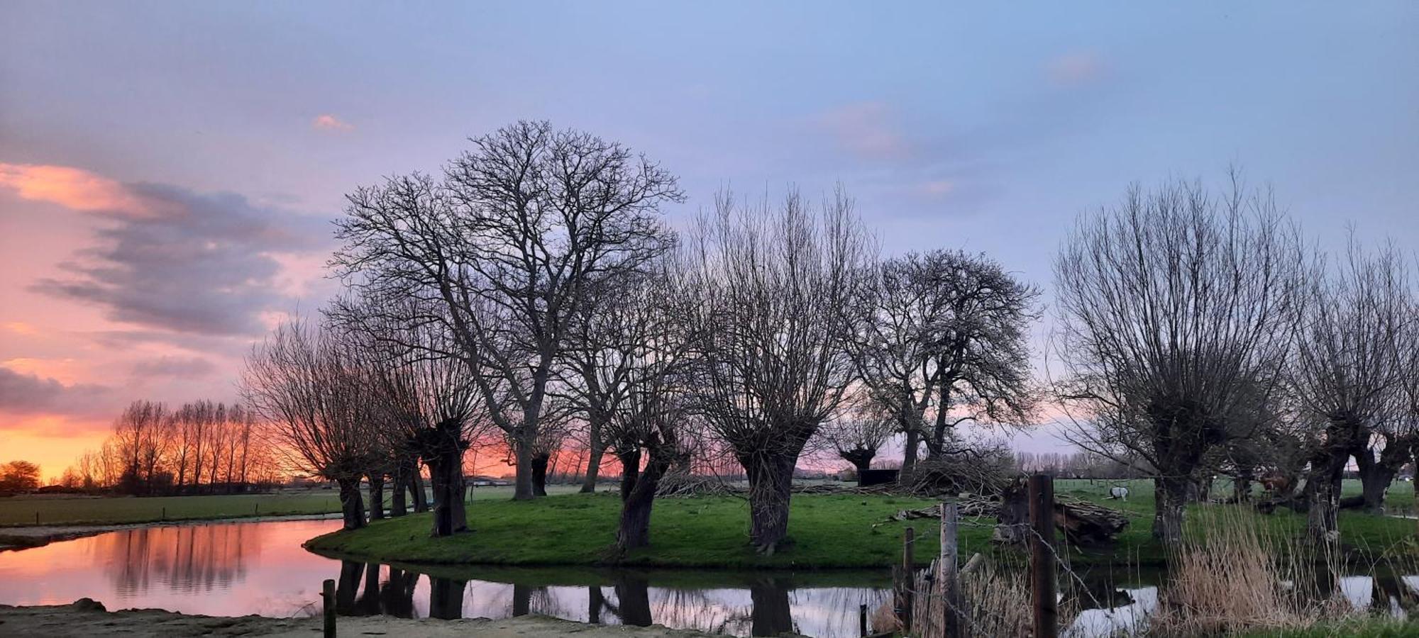 Villa La Vache Au Lit Damme Esterno foto